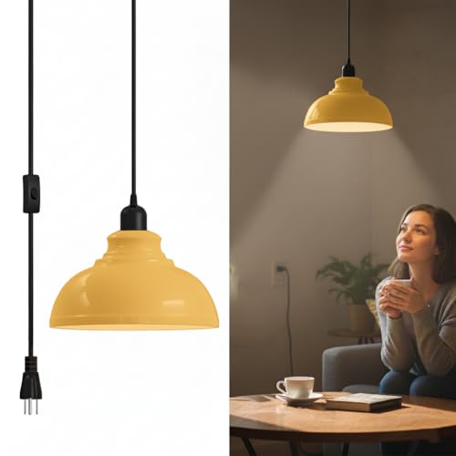 plug light in adjustable dome