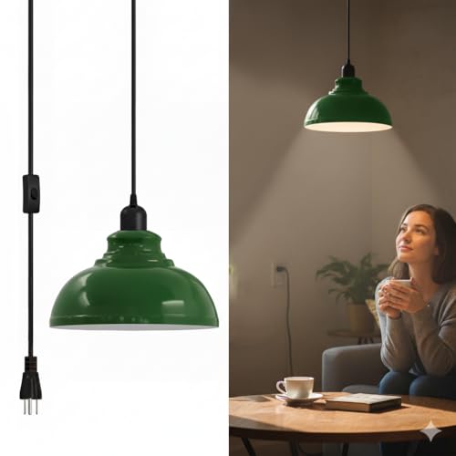 in plug adjustable dome hangin