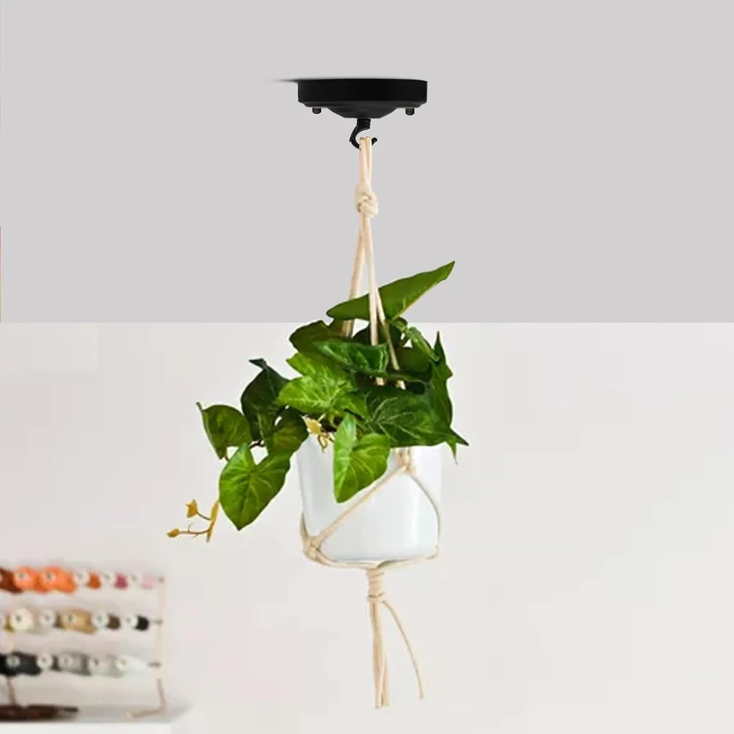 house plant canopy Ceiling Rose Hook Plate Holder Pendant Lamp Light Fitting DIY