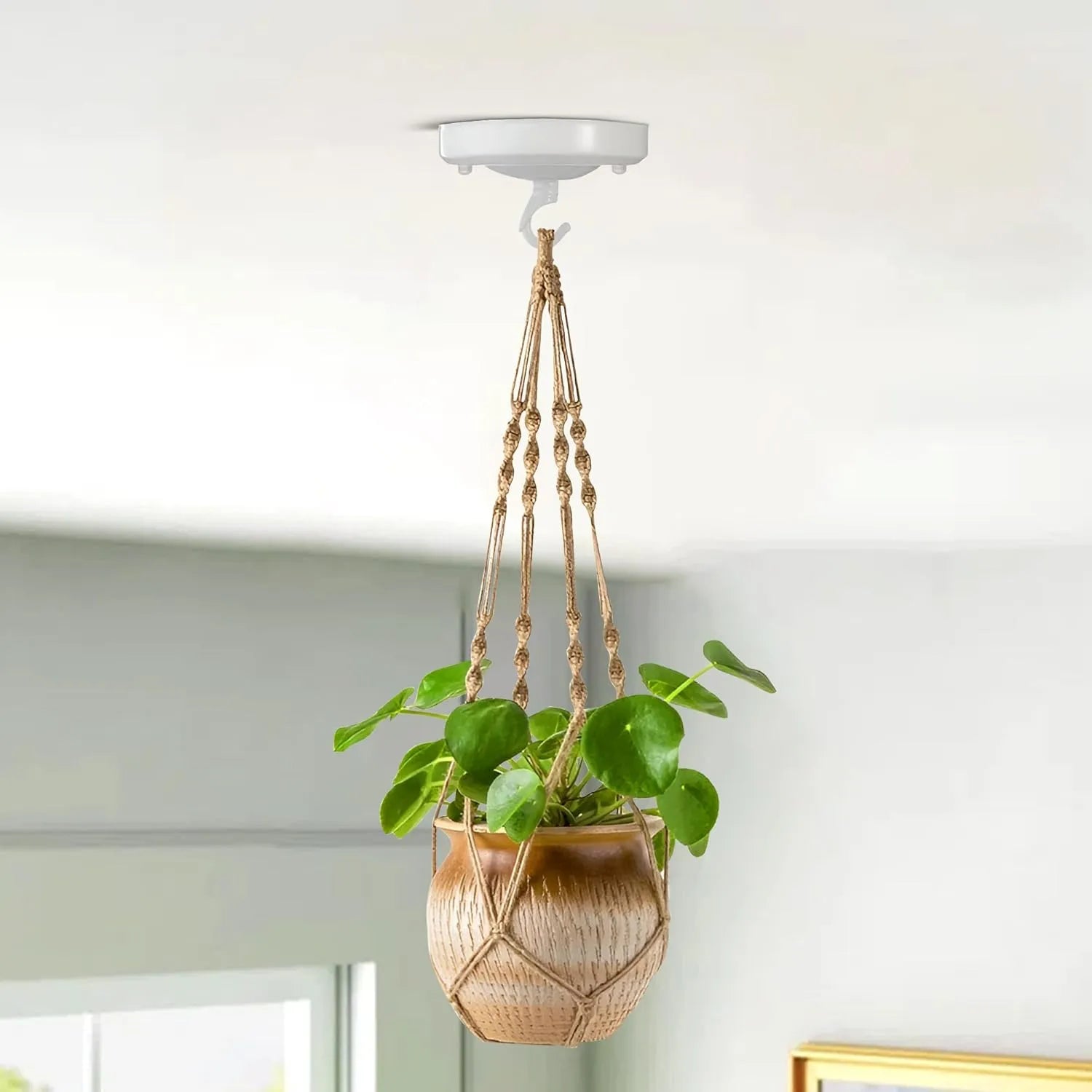 indoor ceiling hooks for plants Ceiling Rose Hook Plate Holder Pendant Lamp Light Fitting DIY