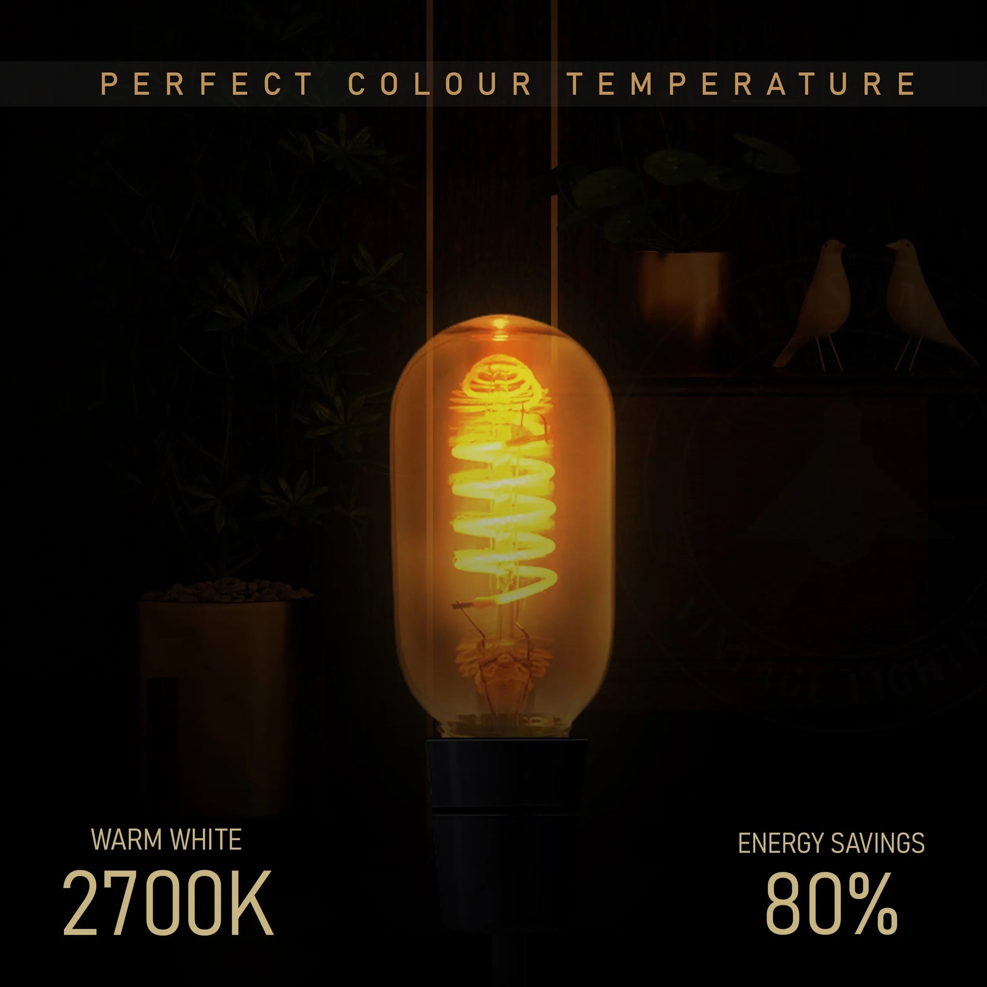 Bulb