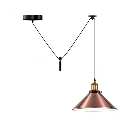 shade ceiling edison rose