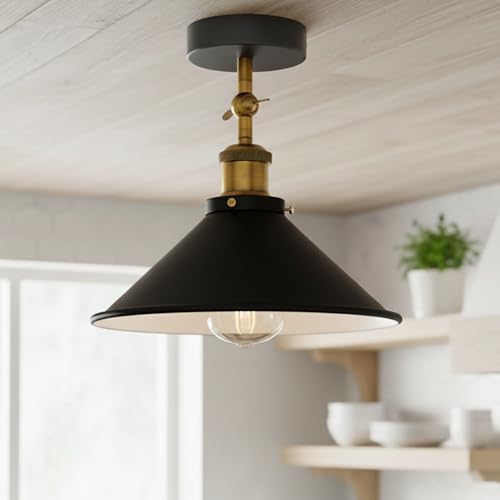 light fixtures pendant mount