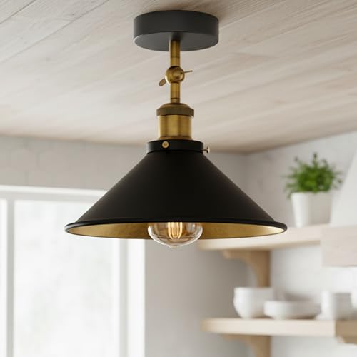 ceiling coverslamp mount indus