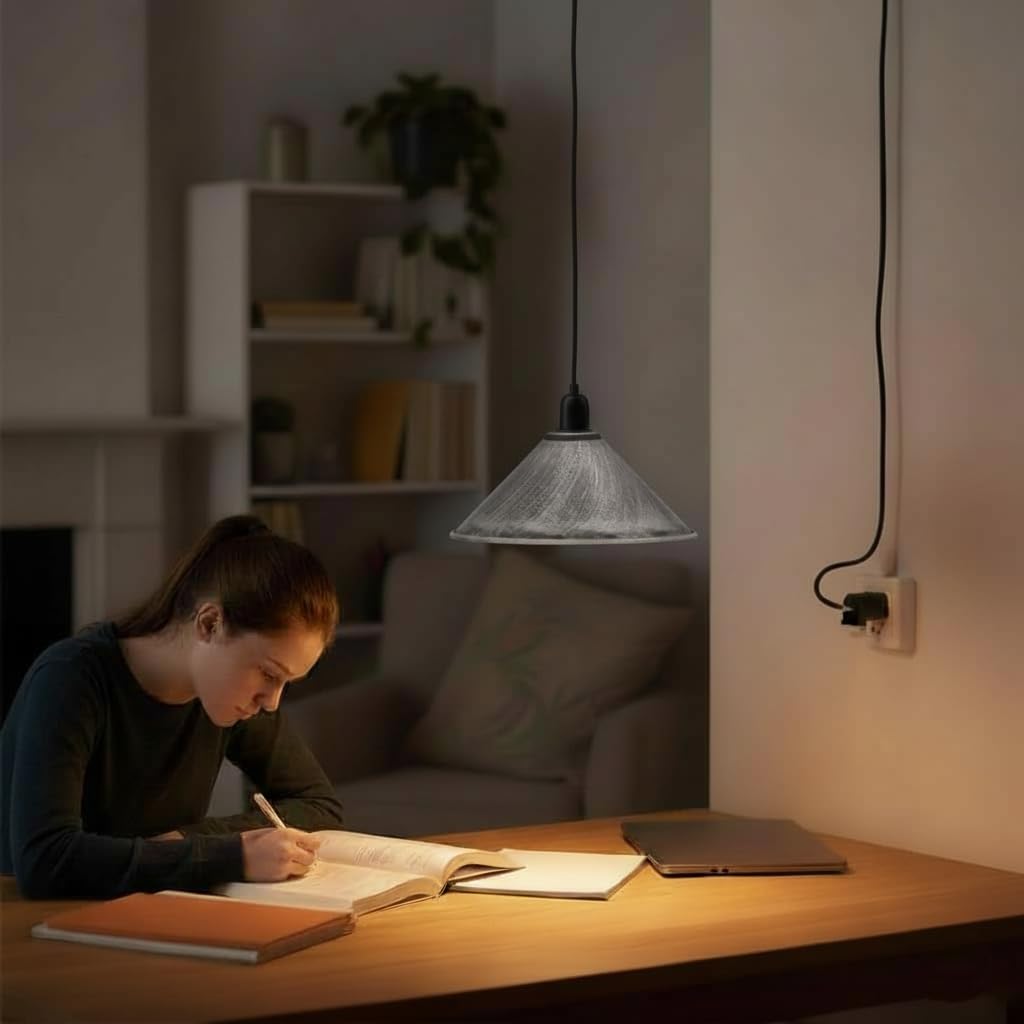 lamp plug pendant pulley hangi