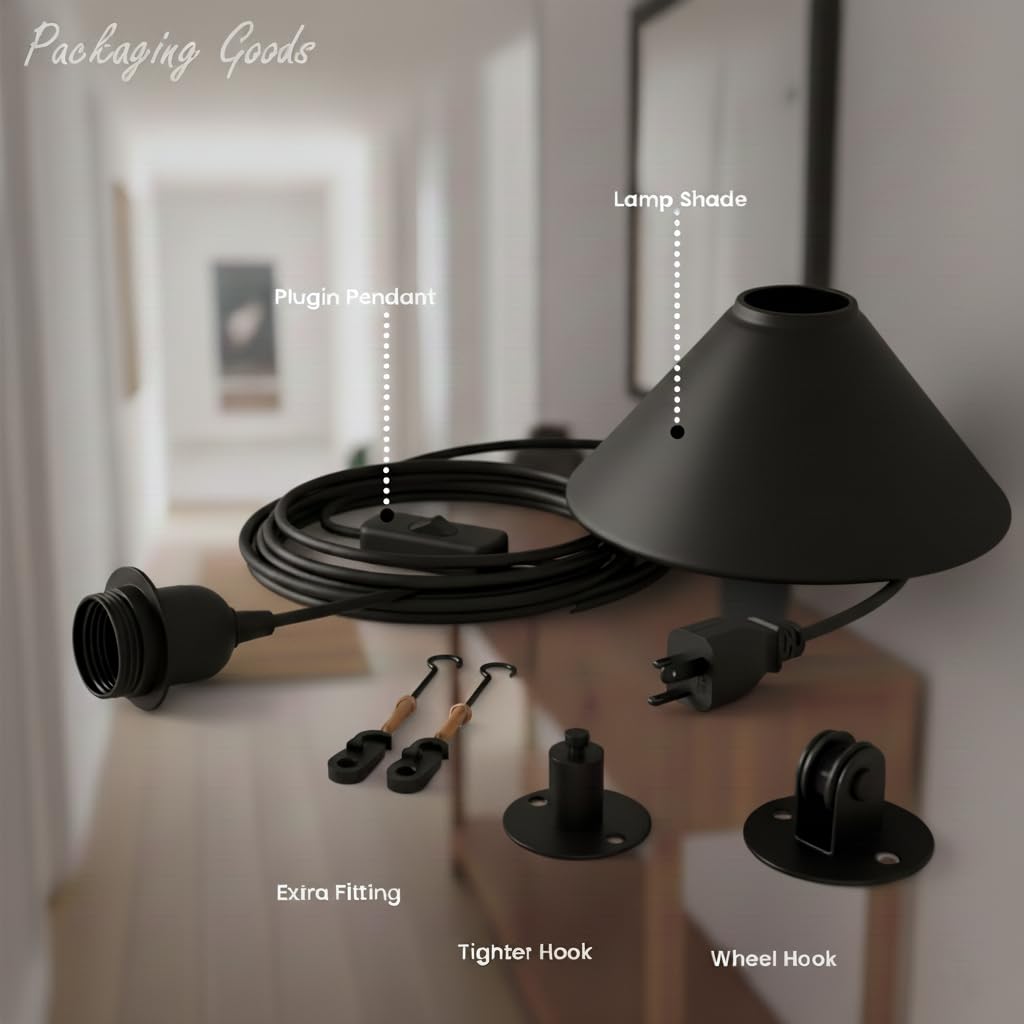 plug light pendant pulley