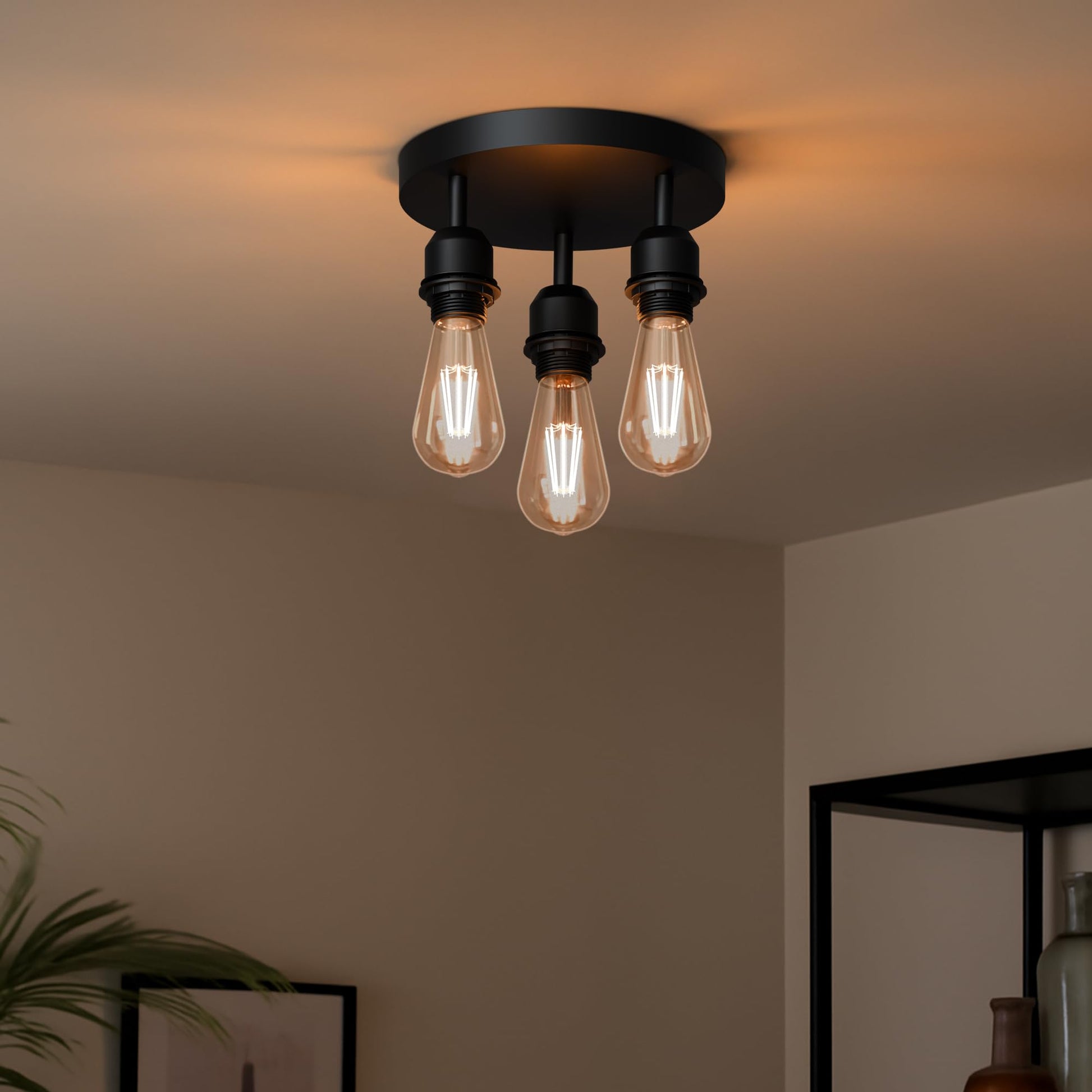 mount kitchen ceiling dining