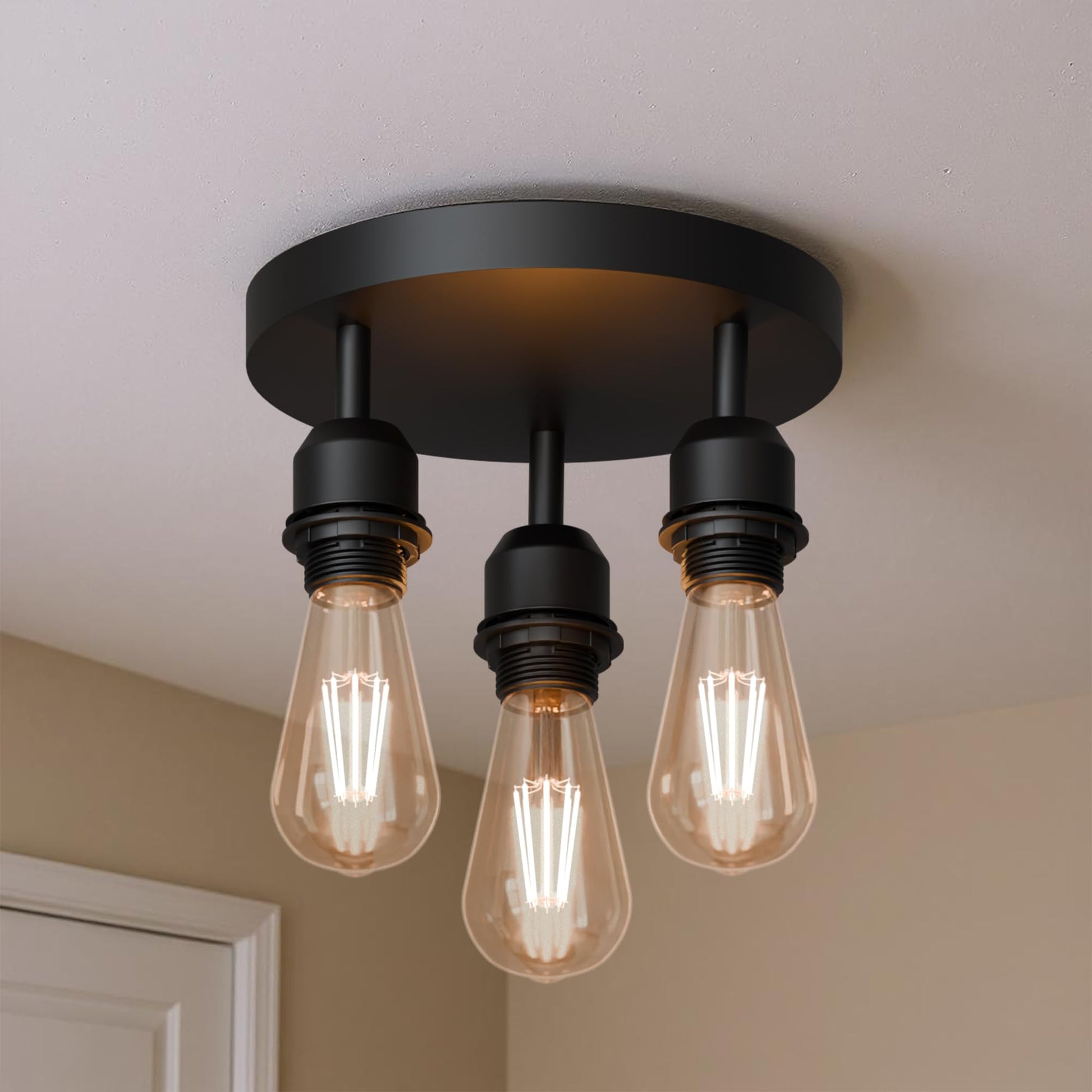 mount kitchen ceiling dining