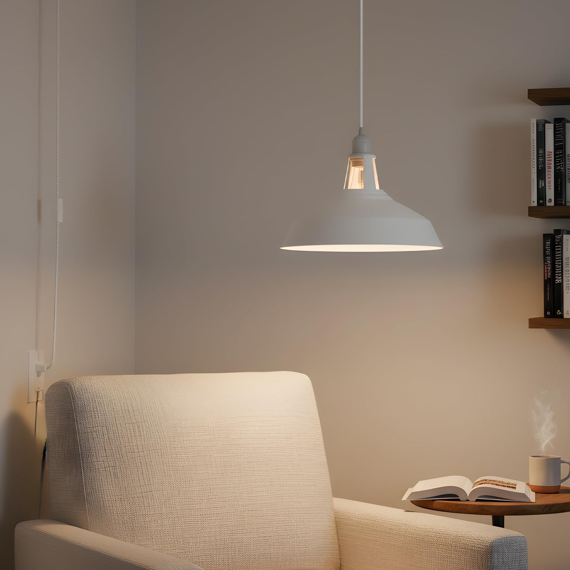 hanging plug shade vintage