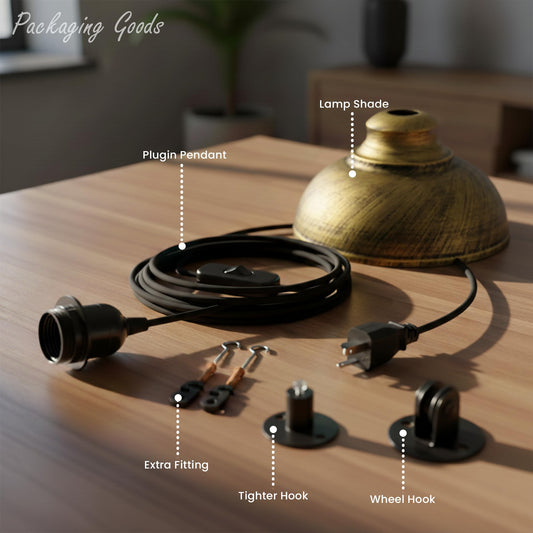 in plug adjustable dome hangin