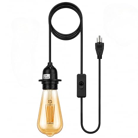 A vintage-style Edison bulb hanging light with a black cord, black switch, and black plug