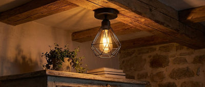 Caged flush mount ceiling light providing ambient lighting in a study room